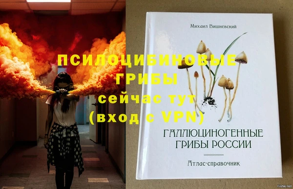 спайс Липки