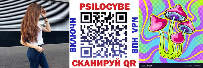 Псилоцибиновые грибы Psilocybe  Купить  Зверево 